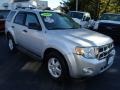 2009 Brilliant Silver Metallic Ford Escape XLT  photo #3