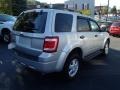2009 Brilliant Silver Metallic Ford Escape XLT  photo #4