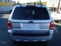2009 Brilliant Silver Metallic Ford Escape XLT  photo #5