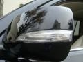 Black Onyx - GX 460 Photo No. 11