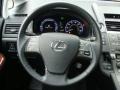 2010 Smoky Granite Mica Lexus HS 250h Hybrid Premium  photo #19