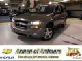 Graystone Metallic 2008 Chevrolet TrailBlazer LT 4x4