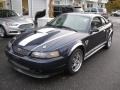 2003 True Blue Metallic Ford Mustang GT Coupe  photo #3