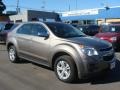 2010 Mocha Steel Metallic Chevrolet Equinox LS  photo #3