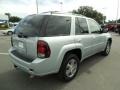 2007 Moondust Metallic Chevrolet TrailBlazer LS  photo #9