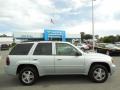 2007 Moondust Metallic Chevrolet TrailBlazer LS  photo #10