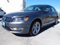 Platinum Gray Metallic - Passat 1.8T SEL Premium Photo No. 3