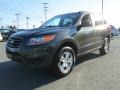 Black Forest Green Metallic - Santa Fe GLS 4WD Photo No. 2