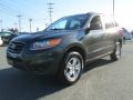 2010 Black Forest Green Metallic Hyundai Santa Fe GLS 4WD  photo #2