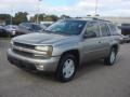 Light Pewter Metallic - TrailBlazer LS 4x4 Photo No. 2