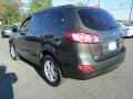 Black Forest Green Metallic - Santa Fe GLS 4WD Photo No. 8