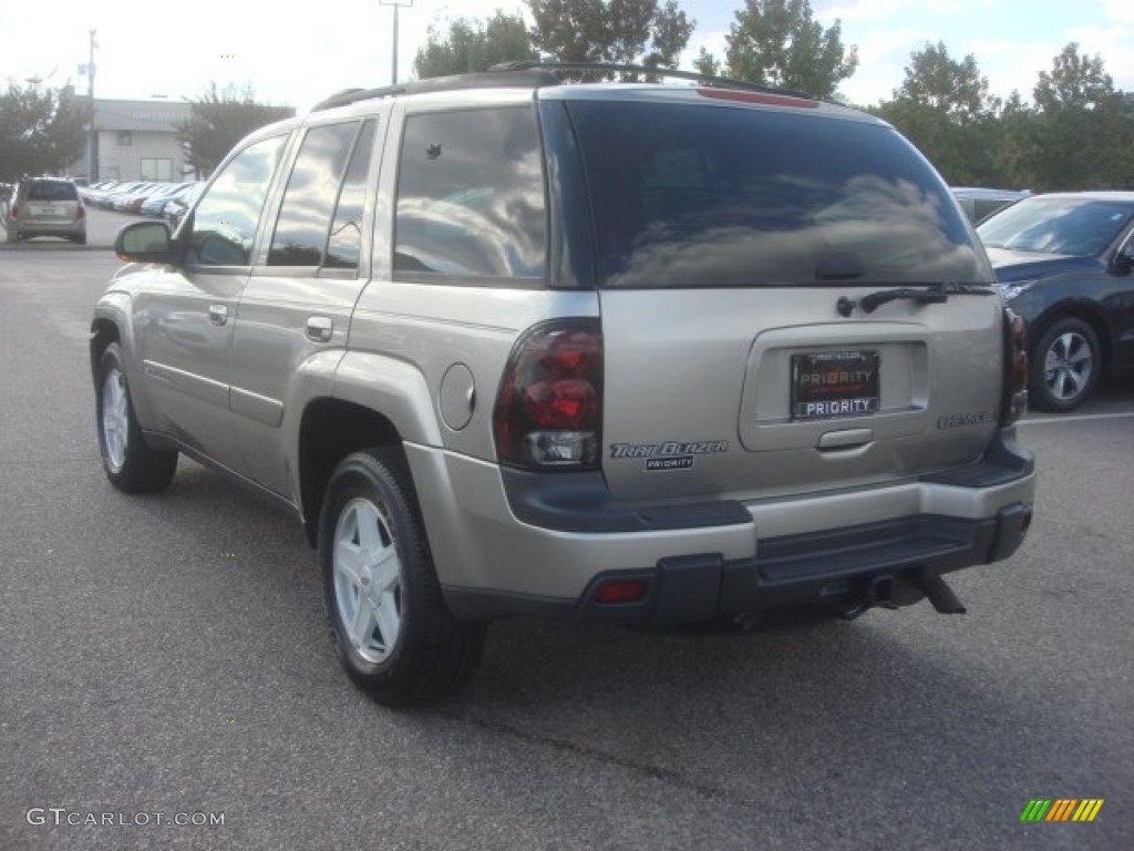 2002 TrailBlazer LS 4x4 - Light Pewter Metallic / Dark Pewter photo #4