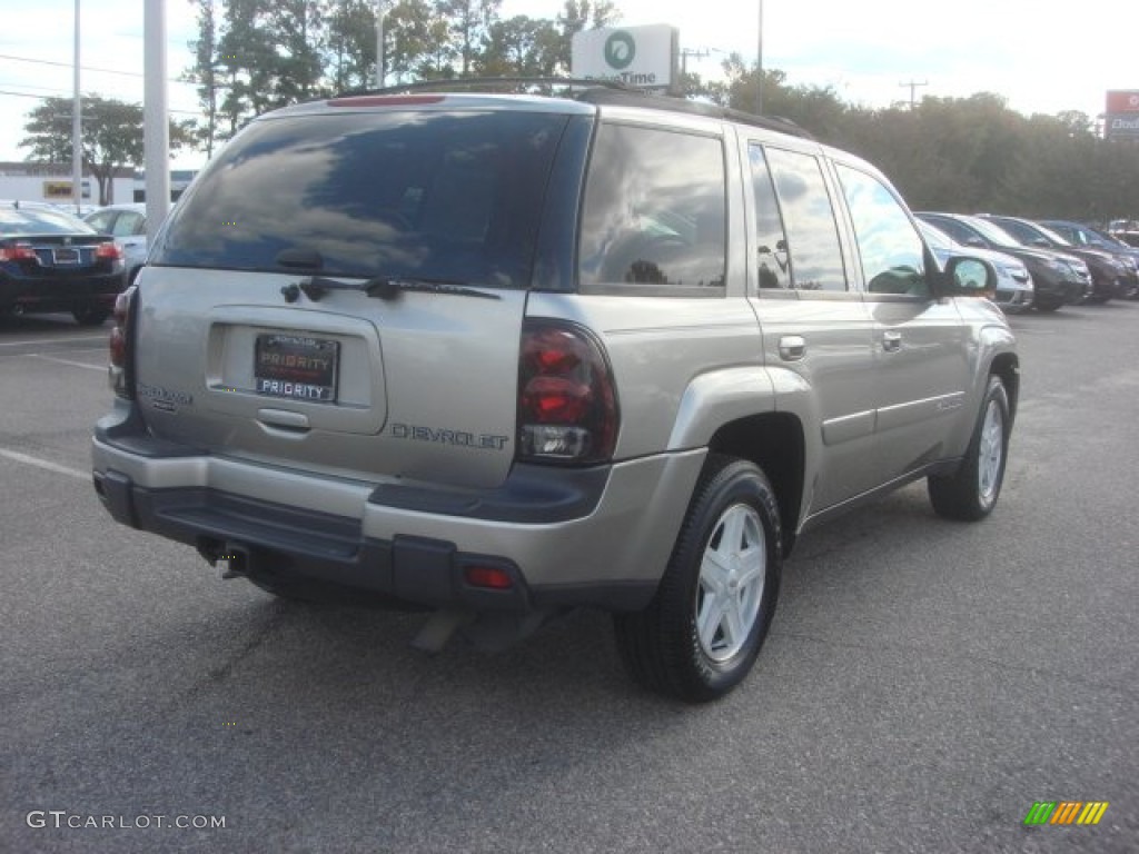 2002 TrailBlazer LS 4x4 - Light Pewter Metallic / Dark Pewter photo #6