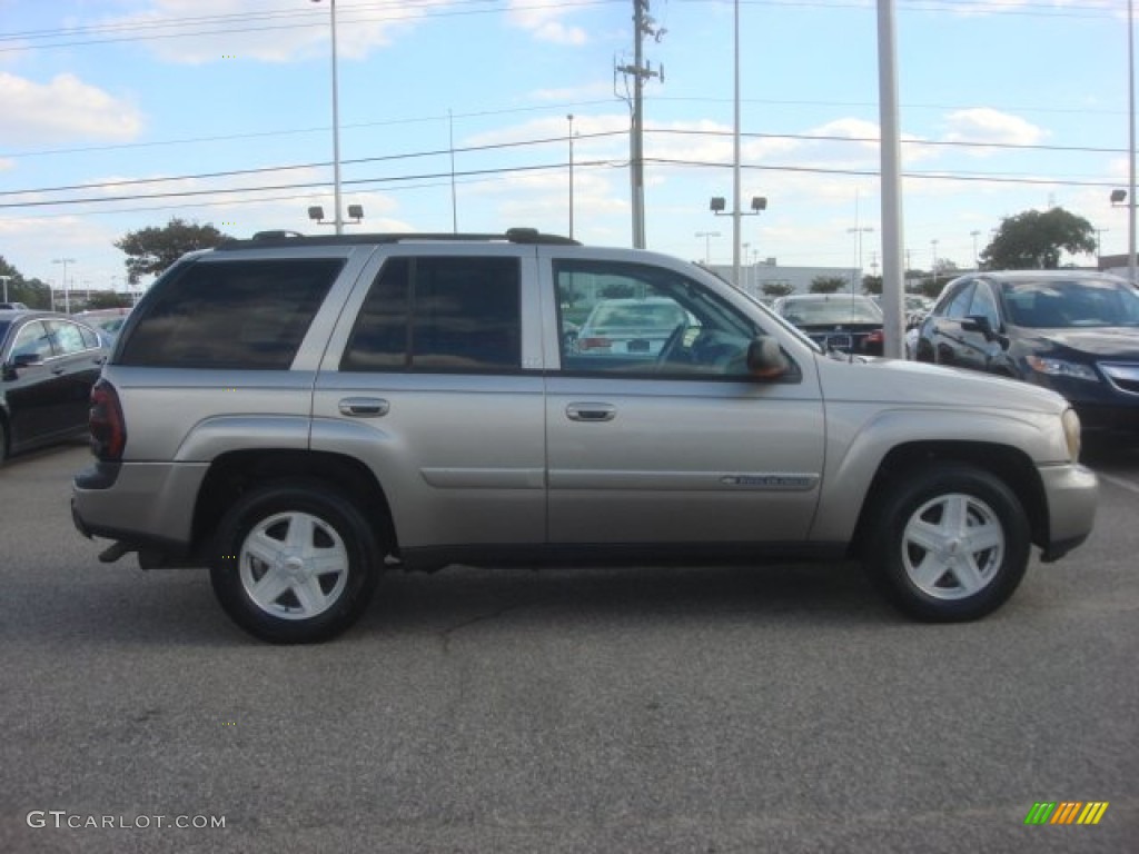 2002 TrailBlazer LS 4x4 - Light Pewter Metallic / Dark Pewter photo #7