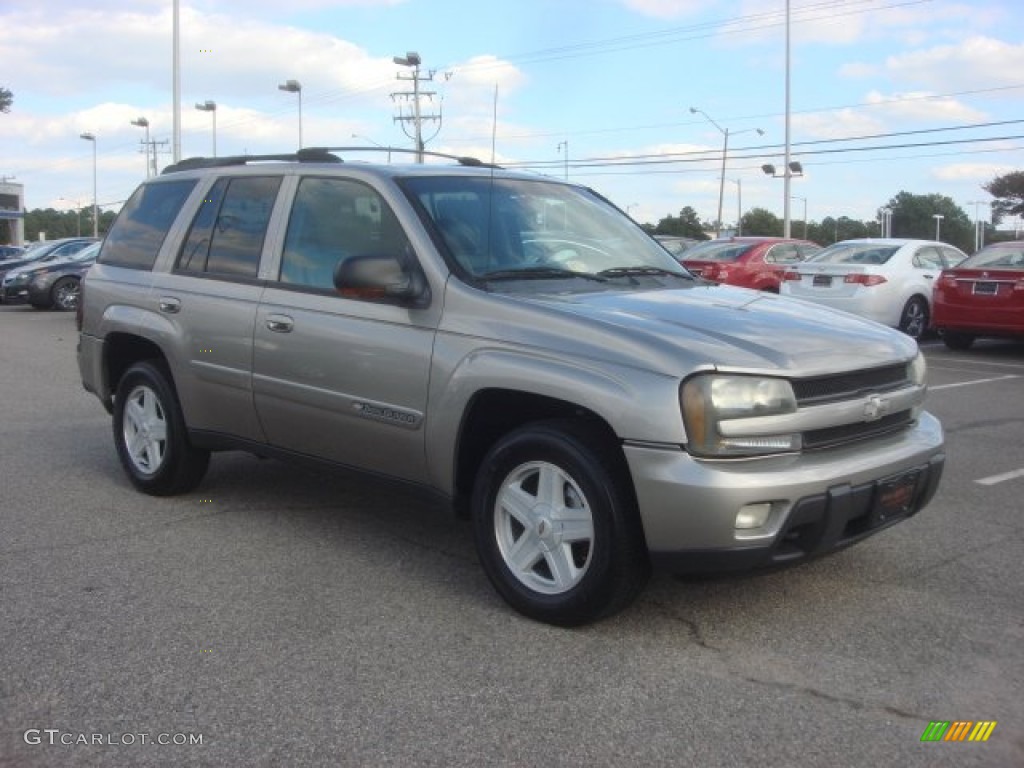 2002 TrailBlazer LS 4x4 - Light Pewter Metallic / Dark Pewter photo #8