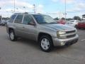 Light Pewter Metallic - TrailBlazer LS 4x4 Photo No. 8