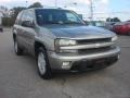 Light Pewter Metallic - TrailBlazer LS 4x4 Photo No. 9