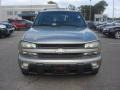 Light Pewter Metallic - TrailBlazer LS 4x4 Photo No. 10