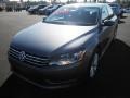 Platinum Gray Metallic - Passat 2.5L SEL Photo No. 3