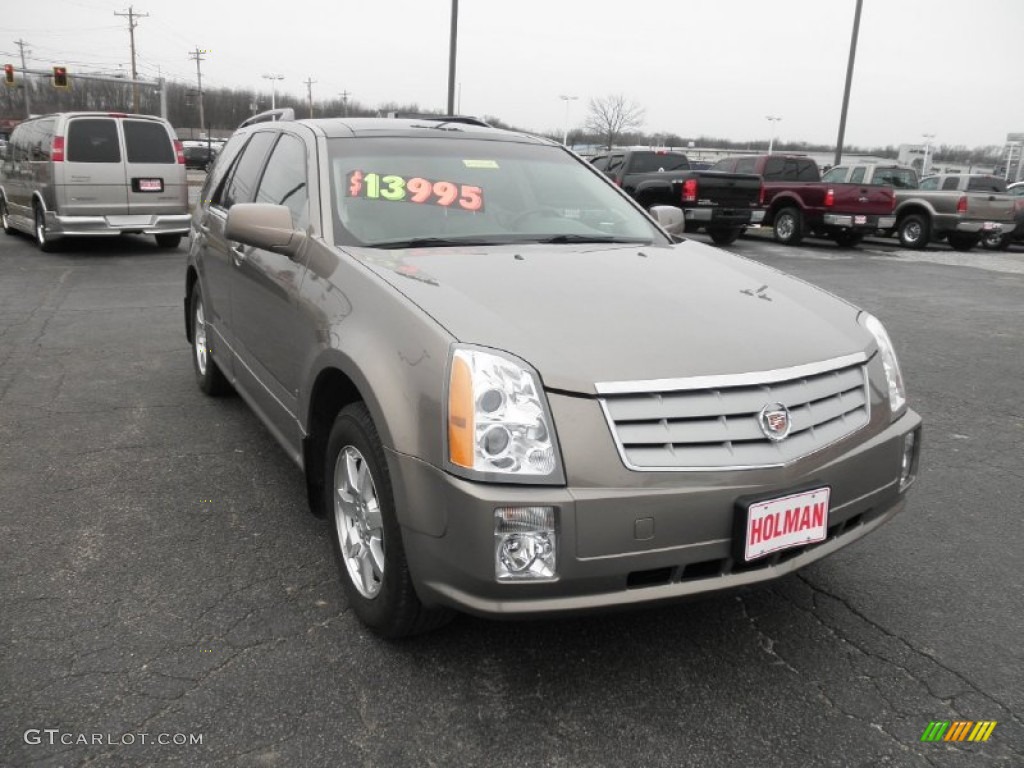 2006 SRX V6 - Radiant Bronze / Cashmere photo #2