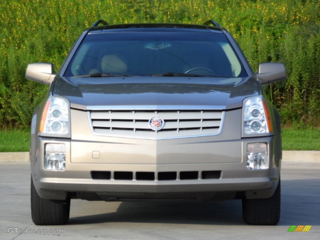 2007 SRX V6 - Radiant Bronze / Cashmere photo #3