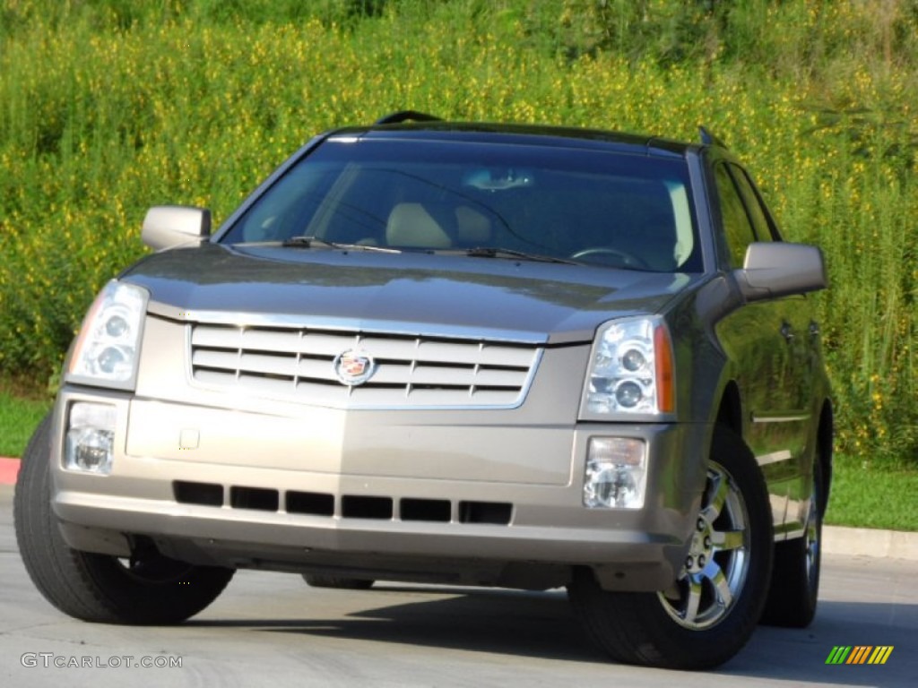 2007 SRX V6 - Radiant Bronze / Cashmere photo #27