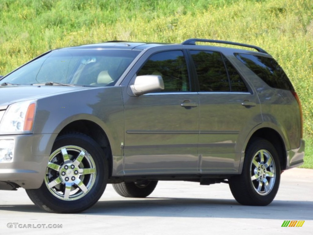 2007 SRX V6 - Radiant Bronze / Cashmere photo #30