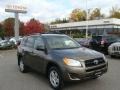 Pyrite Metallic - RAV4 I4 4WD Photo No. 1