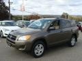 Pyrite Metallic - RAV4 I4 4WD Photo No. 3