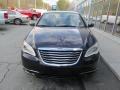 Blackberry Pearl Coat - 200 Touring Sedan Photo No. 8