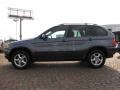 Steel Grey Metallic - X5 3.0i Photo No. 2