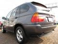 Steel Grey Metallic - X5 3.0i Photo No. 3