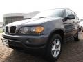 Steel Grey Metallic - X5 3.0i Photo No. 9