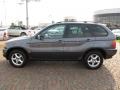 Steel Grey Metallic - X5 3.0i Photo No. 10