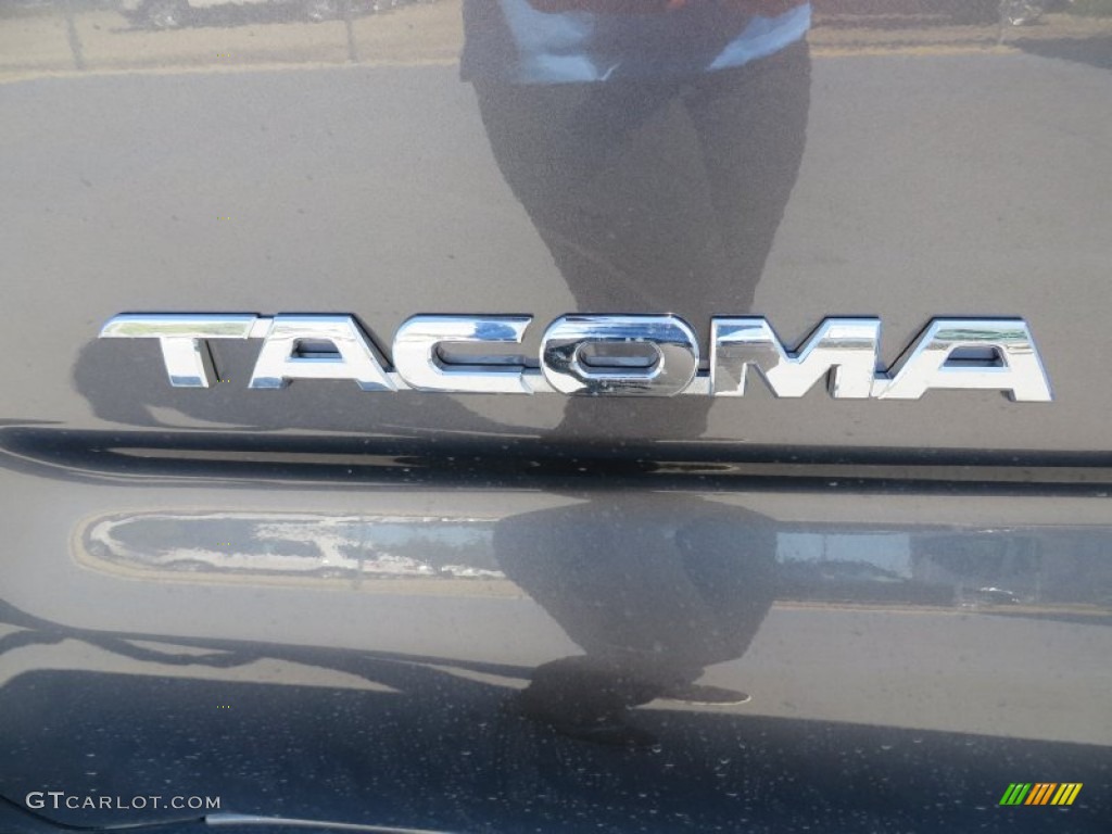 2014 Tacoma Access Cab - Magnetic Gray Metallic / Graphite photo #12