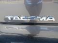 2014 Magnetic Gray Metallic Toyota Tacoma Access Cab  photo #12