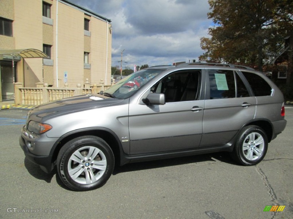 Sterling Grey Metallic 2004 BMW X5 4.4i Exterior Photo #87253491