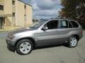 Sterling Grey Metallic 2004 BMW X5 4.4i Exterior