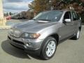 Sterling Grey Metallic 2004 BMW X5 4.4i Exterior