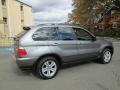 Sterling Grey Metallic 2004 BMW X5 4.4i Exterior