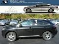 Stargazer Mica - RX 350 AWD Photo No. 1