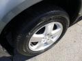 2007 Silver Steel Metallic Dodge Grand Caravan SXT  photo #9