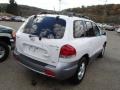 2006 Nordic White Hyundai Santa Fe GLS 4WD  photo #4