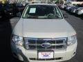 2008 Light Sage Metallic Ford Escape XLS  photo #2