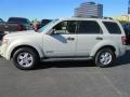 2008 Light Sage Metallic Ford Escape XLS  photo #3