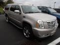Quicksilver - Escalade ESV AWD Photo No. 1