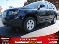 True Blue Pearl - Compass Sport Photo No. 1