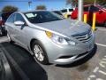Radiant Silver - Sonata GLS Photo No. 3