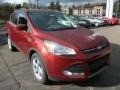 2014 Sunset Ford Escape SE 1.6L EcoBoost 4WD  photo #1