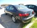 2010 Cocoa Metallic Hyundai Sonata GLS  photo #5